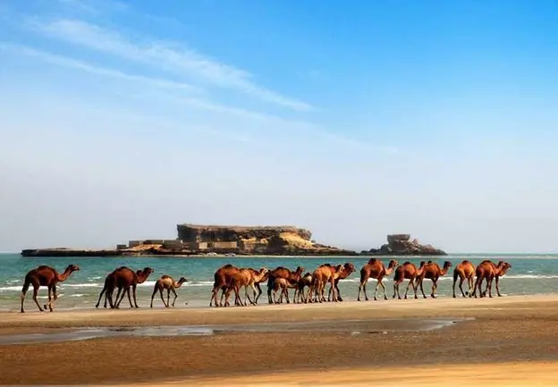 سفر به قشم - کاماپرس