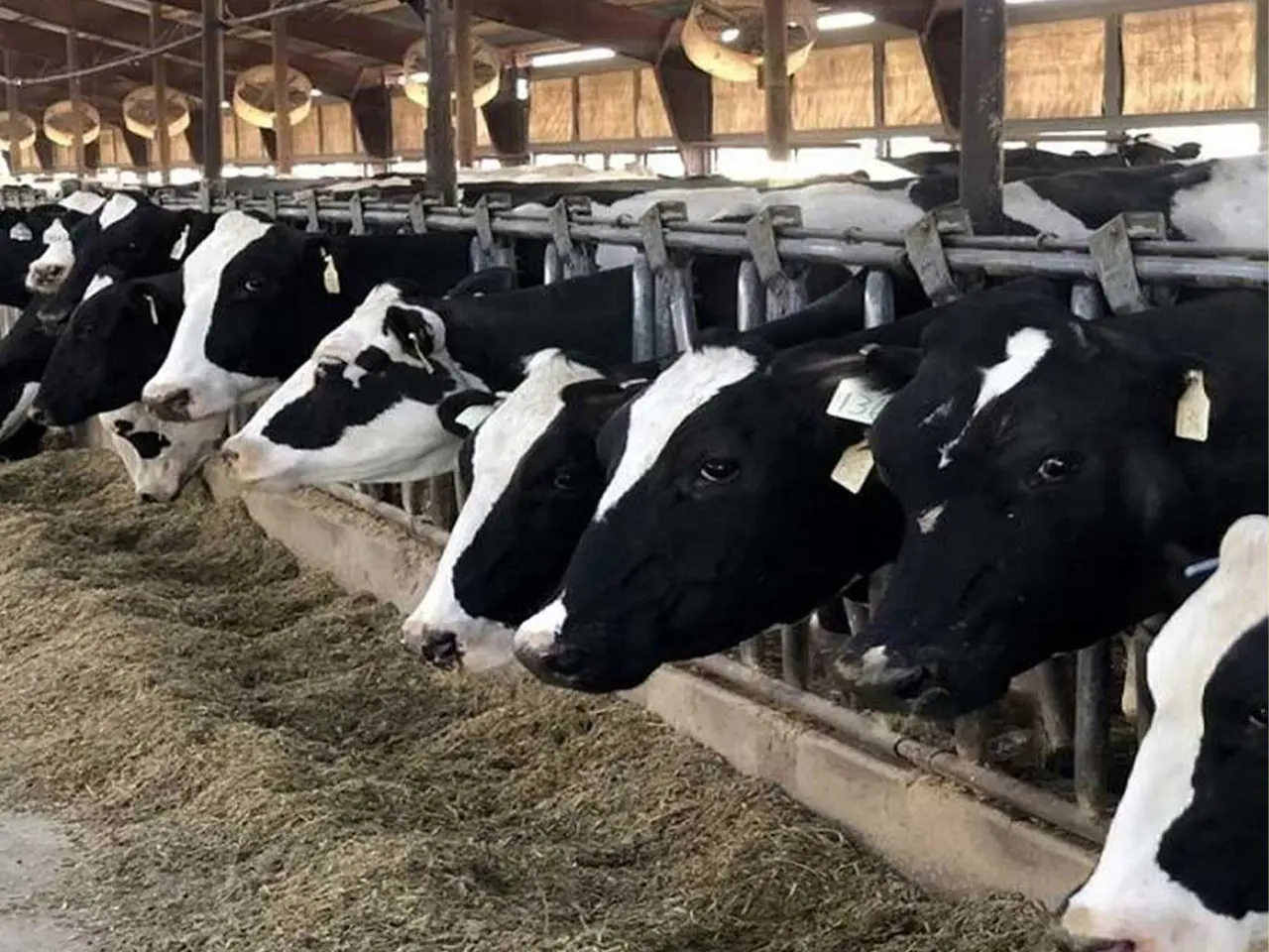 cC5dEwUyIazDwUVyB3sq8B4AoOSnUpVDB7inaGYC