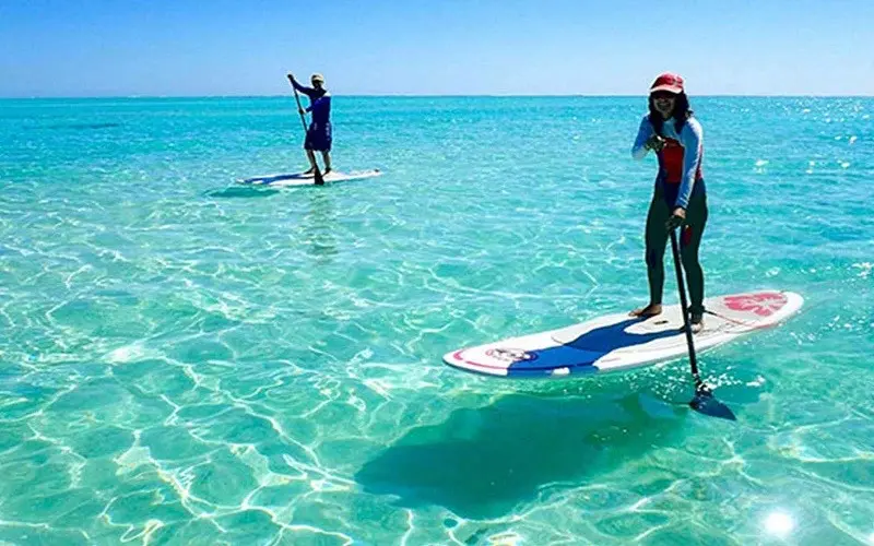 سسسسسسسسسسس