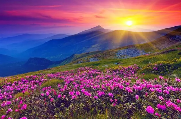 آریاک سفر_کاماپرس
