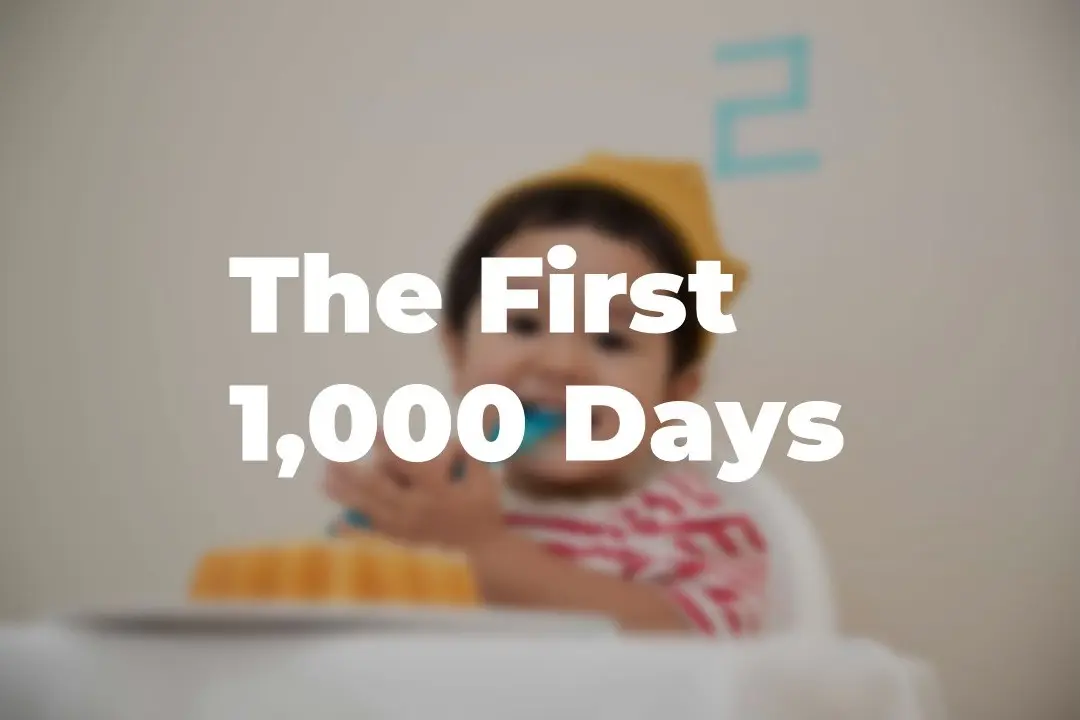 Nestlé - The First 1000 Days (1)