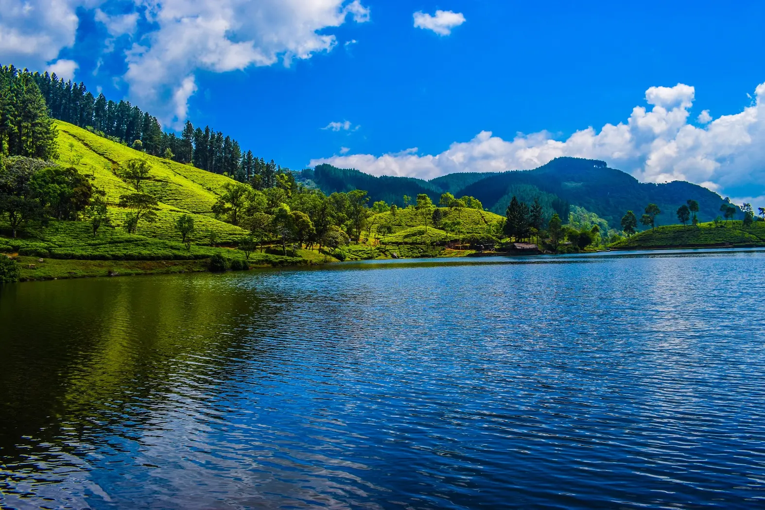 تور سریلانکا - کاماپرس