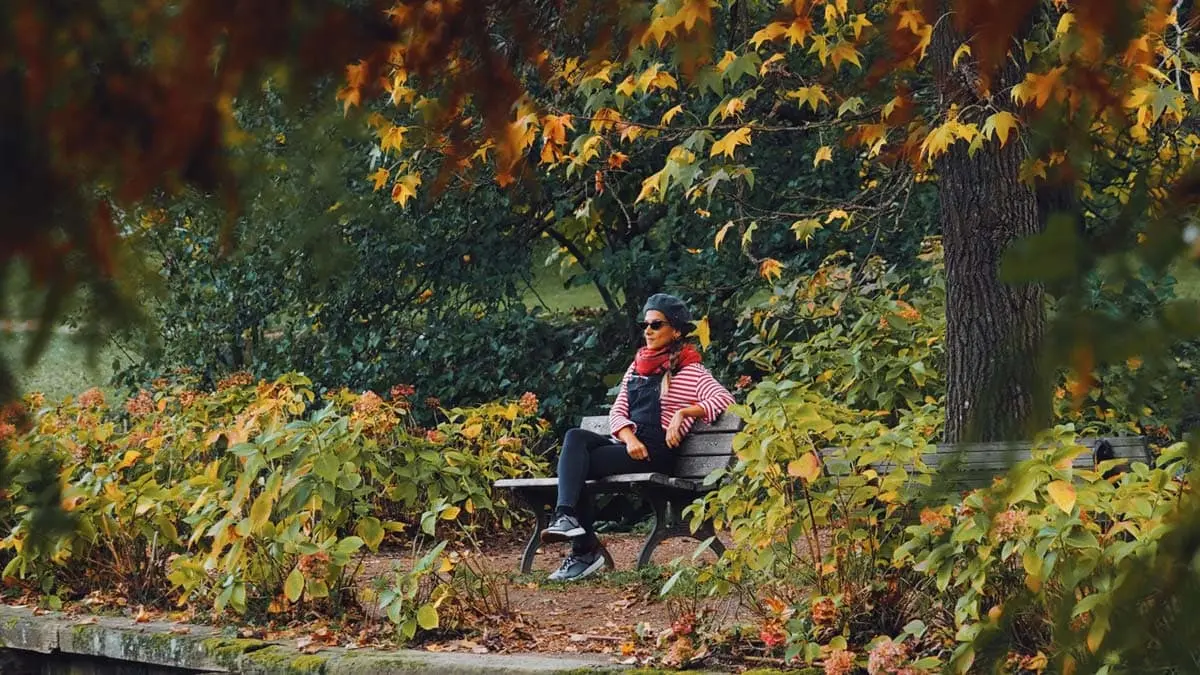 پارک جنگلی آتاتورک در استانبول - کاماپرس