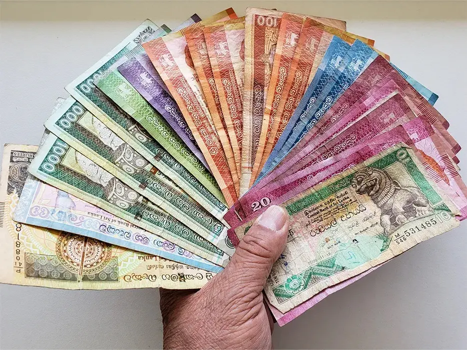 پول نقد و غذاهای خیابانی تجربه ای واقعی-کاماپرس