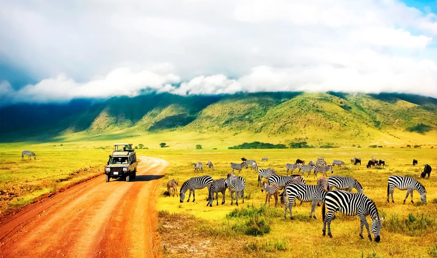 تور کنیا - کاماپرس