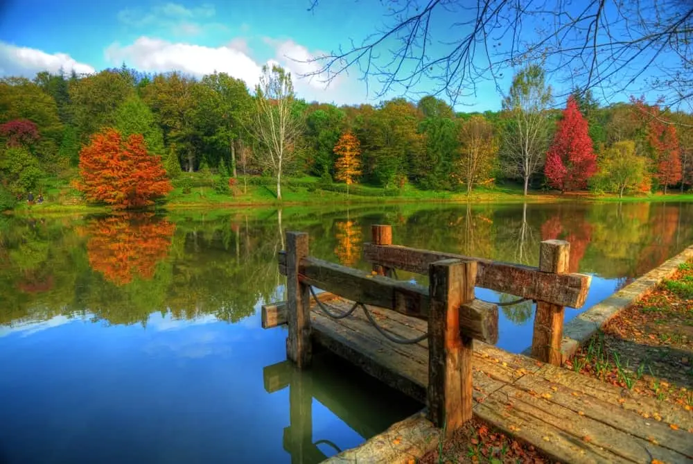 پارک جنگلی آتاتورک در استانبول - کاماپرس