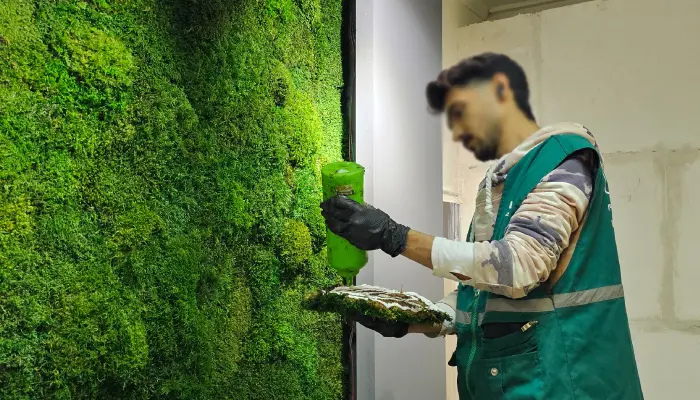 قیمت ماس وال - کاماپرس