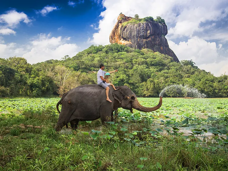 تور سریلانکا - کاماپرس