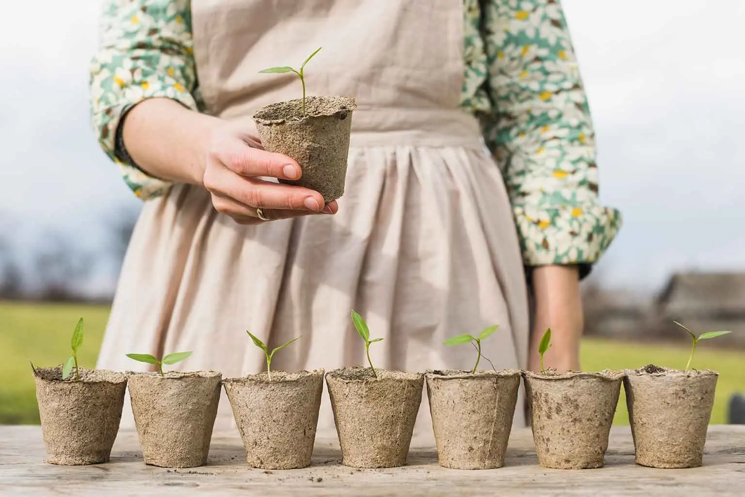 شسبرذسیبذر