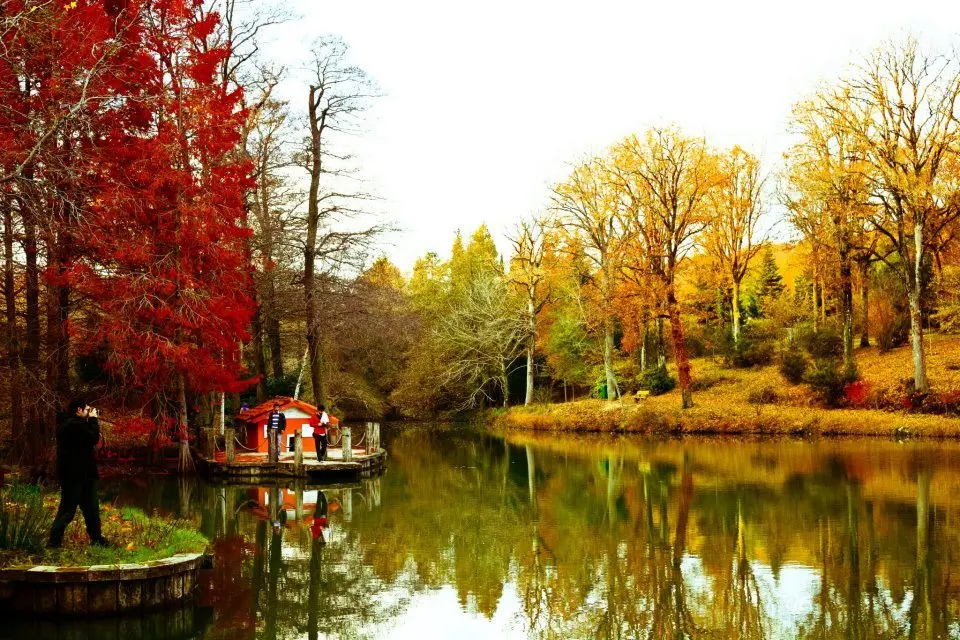 پارک جنگلی آتاتورک در استانبول - کاماپرس