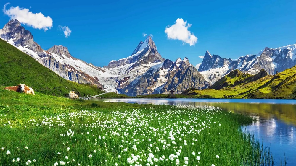 تور اروپا - کاماپرس
