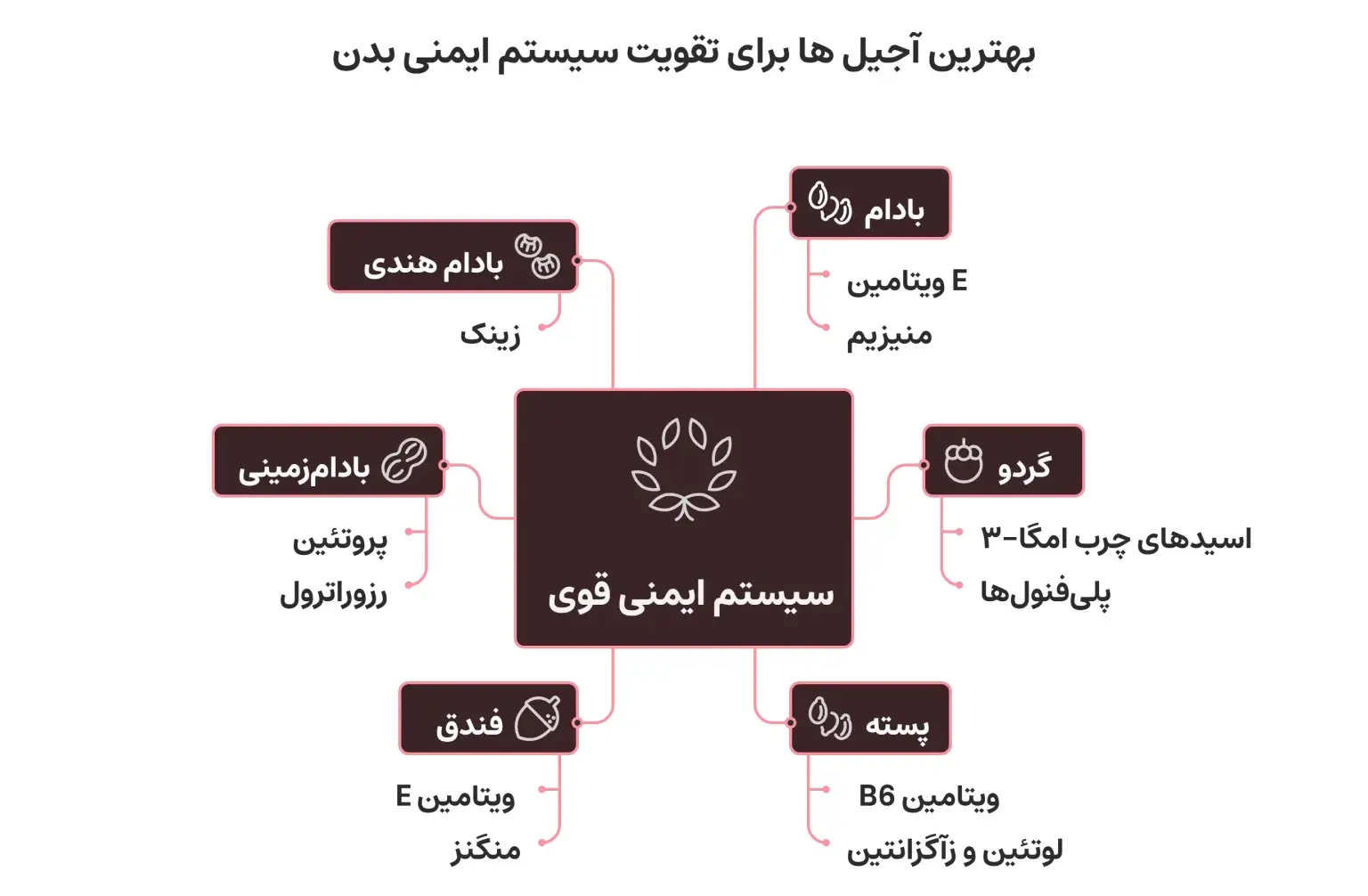 خرید آجیل و خشکبار - کاماپرس
