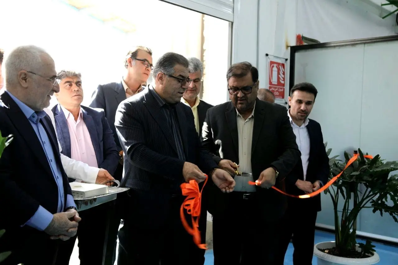 photo_2026-02-12_10-30-38