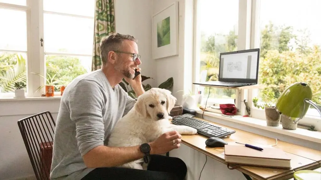 دامپزشکی در شیراز - کاماپرس