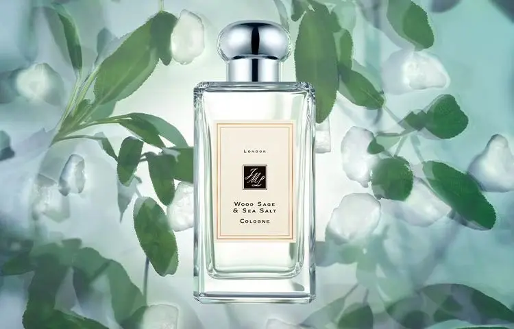عطر جو مالون وود سیج اند سی سالت (Jo Malone Wood Sage & Sea Salt)- کاماپرس
