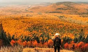 بهترین تورهای داخلی برای سفر در پاییز کدام اند؟