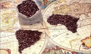 تمندر طلایی؛ آماده صادرات قهوه و نوشیدنی‌های تخصصی ایرانی به خلیج فارس