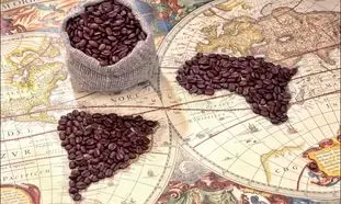 تمندر طلایی؛ آماده صادرات قهوه و نوشیدنی‌های تخصصی ایرانی به خلیج فارس