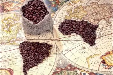 تمندر طلایی؛ آماده صادرات قهوه و نوشیدنی‌های تخصصی ایرانی به خلیج فارس