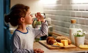 چطور با انتخاب آب تصفیه کن استاندارد و باکیفیت، هزینه‌های پنهان آب شرب مصرفی خانوار را کاهش دهیم؟