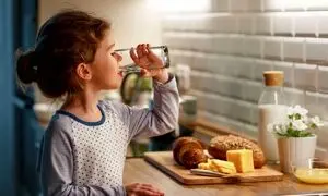 چطور با انتخاب آب تصفیه کن استاندارد و باکیفیت، هزینه‌های پنهان آب شرب مصرفی خانوار را کاهش دهیم؟