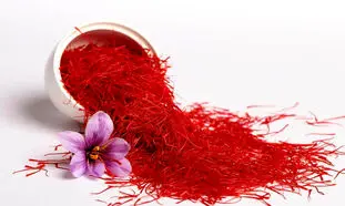حضور نوین زعفران در یک رویداد ملی متفاوت