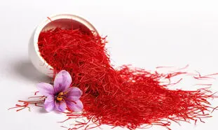 حضور نوین زعفران در یک رویداد ملی متفاوت