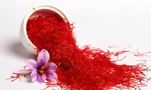 حضور نوین زعفران در یک رویداد ملی متفاوت