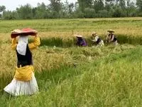 ظرفیت فراموش‌شده توسعه پایدار و ضرورت تسهیل مجوزها برای بخش خصوصی