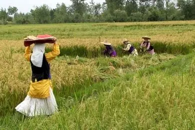 ظرفیت فراموش‌شده توسعه پایدار و ضرورت تسهیل مجوزها برای بخش خصوصی