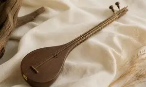 سه‌تار ذوالقدر مناسب نوازندگان سخت ‌پسند