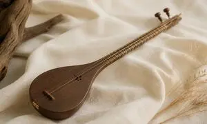 سه‌تار ذوالقدر مناسب نوازندگان سخت ‌پسند