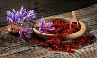 زعفران سحرخیز نشان عالی مدیر سال را دریافت کرد