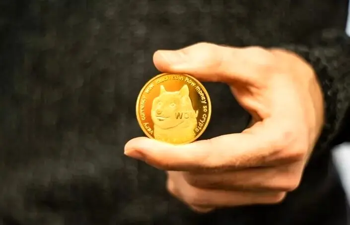 افزایش موج ناامیدی بین هولدرهای ارز دیجیتال دوج کوین