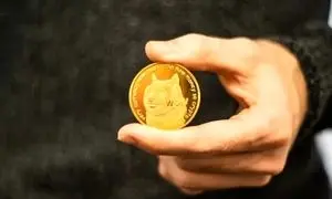 افزایش موج ناامیدی بین هولدرهای ارز دیجیتال دوج کوین