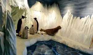 سفر به قطب شمال بدون خروج از تهران 