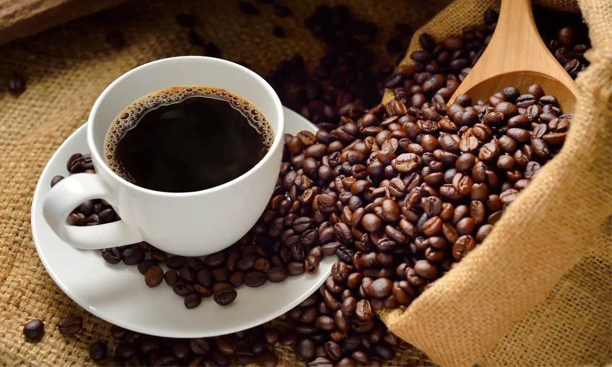 «پنج و شش»؛ واردکننده پایدار قهوه از ویتنام تا آفریقا در نمایشگاه ایران