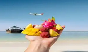 طعم‌های تکرارنشدنی در چابهار؛ میوه‌هایی که در هیچ‌کجای ایران پیدا نمی‌شوند