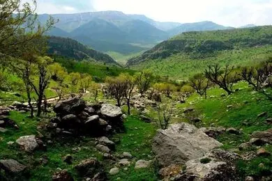 حمایت توسن از نهضت سبز زاگرس