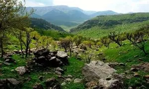 حمایت توسن از نهضت سبز زاگرس