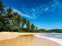 بهترین زمان سفر به سریلانکا برای لذت بردن هر چه بیشتر از زیبایی ‌های طبیعی این کشور