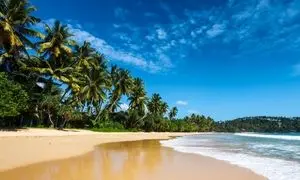 بهترین زمان سفر به سریلانکا برای لذت بردن هر چه بیشتر از زیبایی ‌های طبیعی این کشور