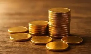 ۴ اشتباهی که خریداران سکه بانکی هنگام خرید آنلاین مرتکب می شوند