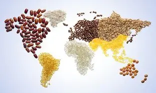 اجرای پروژه مشترک دانشگاه شهید بهشتی و گروه زر