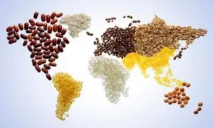 اجرای پروژه مشترک دانشگاه شهید بهشتی و گروه زر