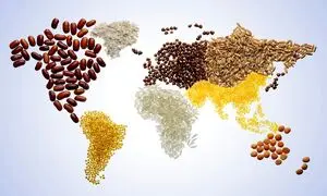 اجرای پروژه مشترک دانشگاه شهید بهشتی و گروه زر