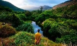 ۳ مسیر طبیعت‌گردی که باید با حرفه‌ای‌ها سفر کنید