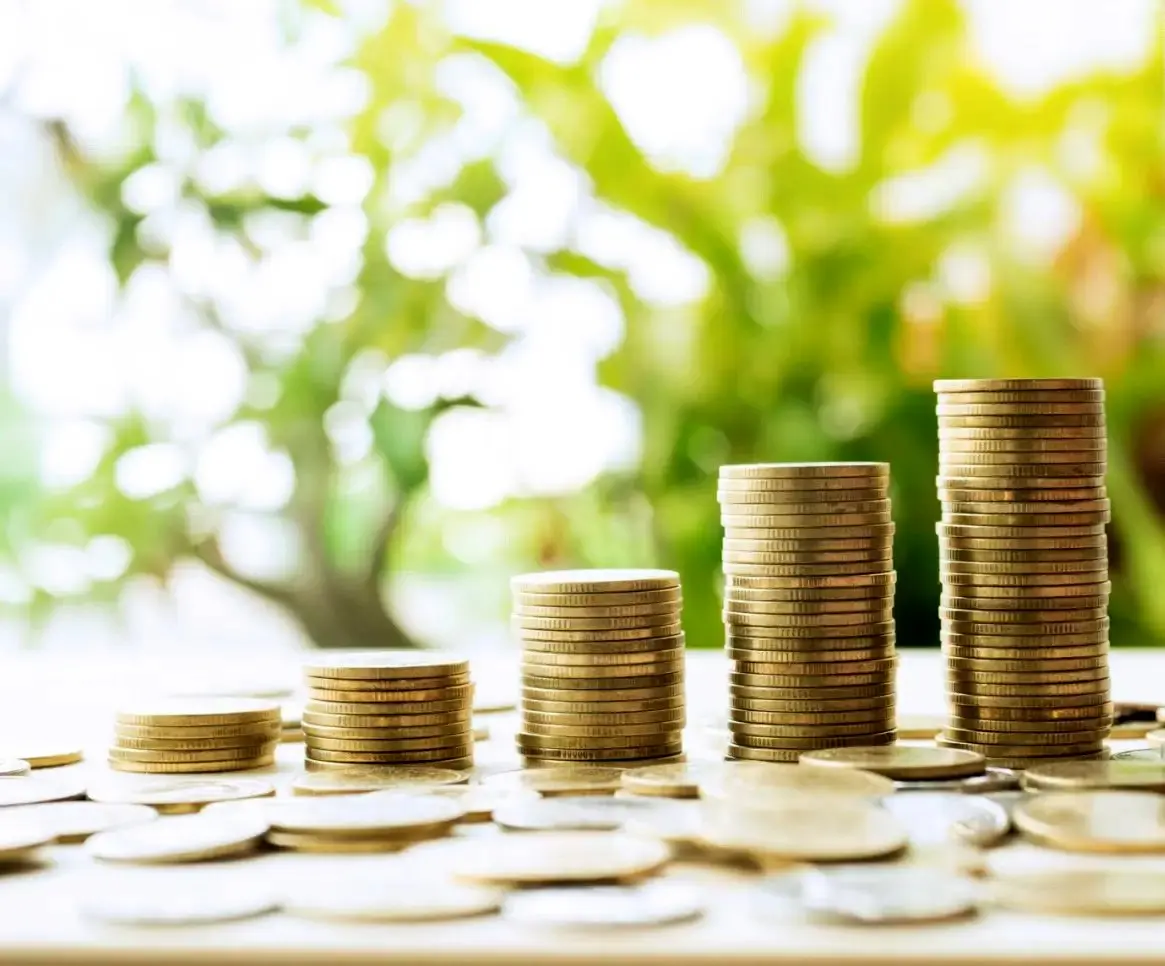 جهش چشمگیر درآمد و سود خالص گروه دیجی‌ کالا در شش ماهه اول ۱۴۰۴