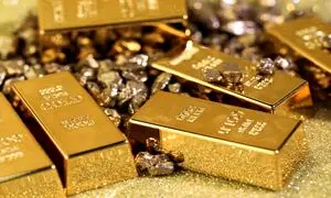 استفاده از پلتفرم‌ های طلا چه ریسکی دارد؟