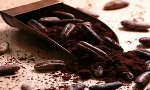 آیا دستگاه آسیاب هسته خرما درآمدزایی دارد؟